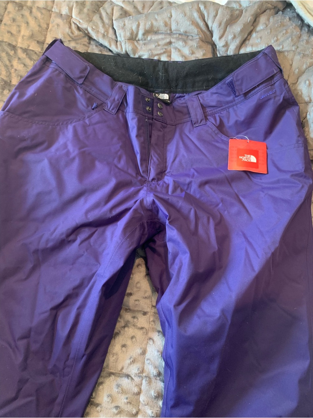 The North Face Deep Purple Outdoor Ski Pants